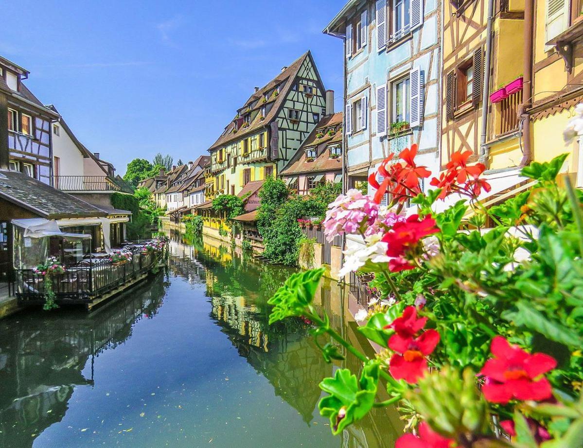 Gites Du Ladhof コルマール エクステリア 写真